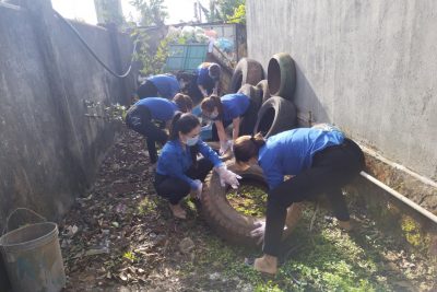 Đoàn Thanh Niên tổ chức diệt lăng quăng, bọ gậy, thu gom rác, dọn vệ sinh xung quanh trường